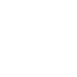 ANET stock logo