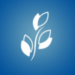 BKD stock logo