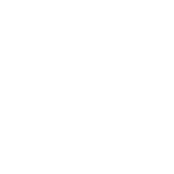BVS stock logo