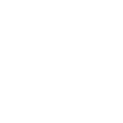 BWA stock logo