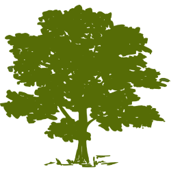 CYH stock logo
