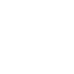 DAVE Logo