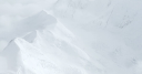 DNLI stock logo