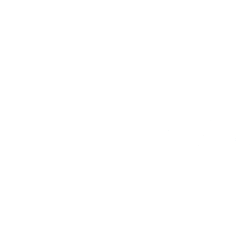 FAST stock logo