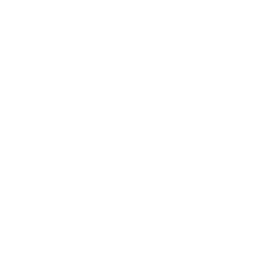 HIMS Logo