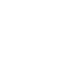 KMX stock logo
