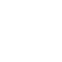 LI stock logo