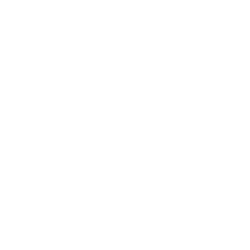 NLY stock logo