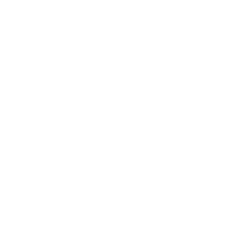 RACE stock logo