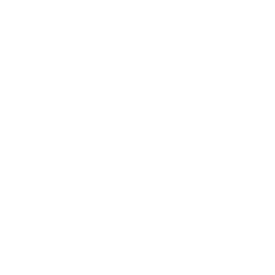 RCL stock logo