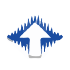 REI stock logo