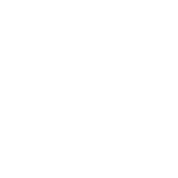 UAA stock logo