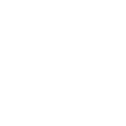 WSM Logo