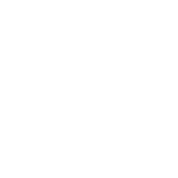 XPEV stock logo