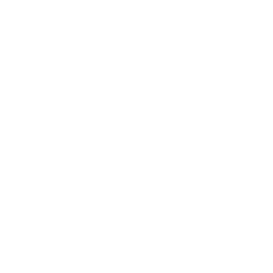 Z stock logo