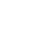 ZM Logo